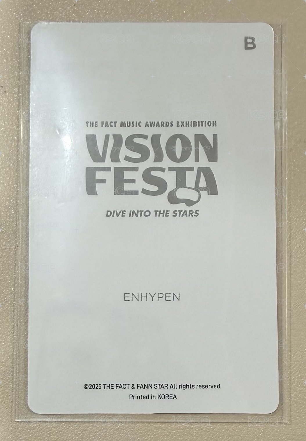 VISION FESTA 入場卡 / 場限卡 