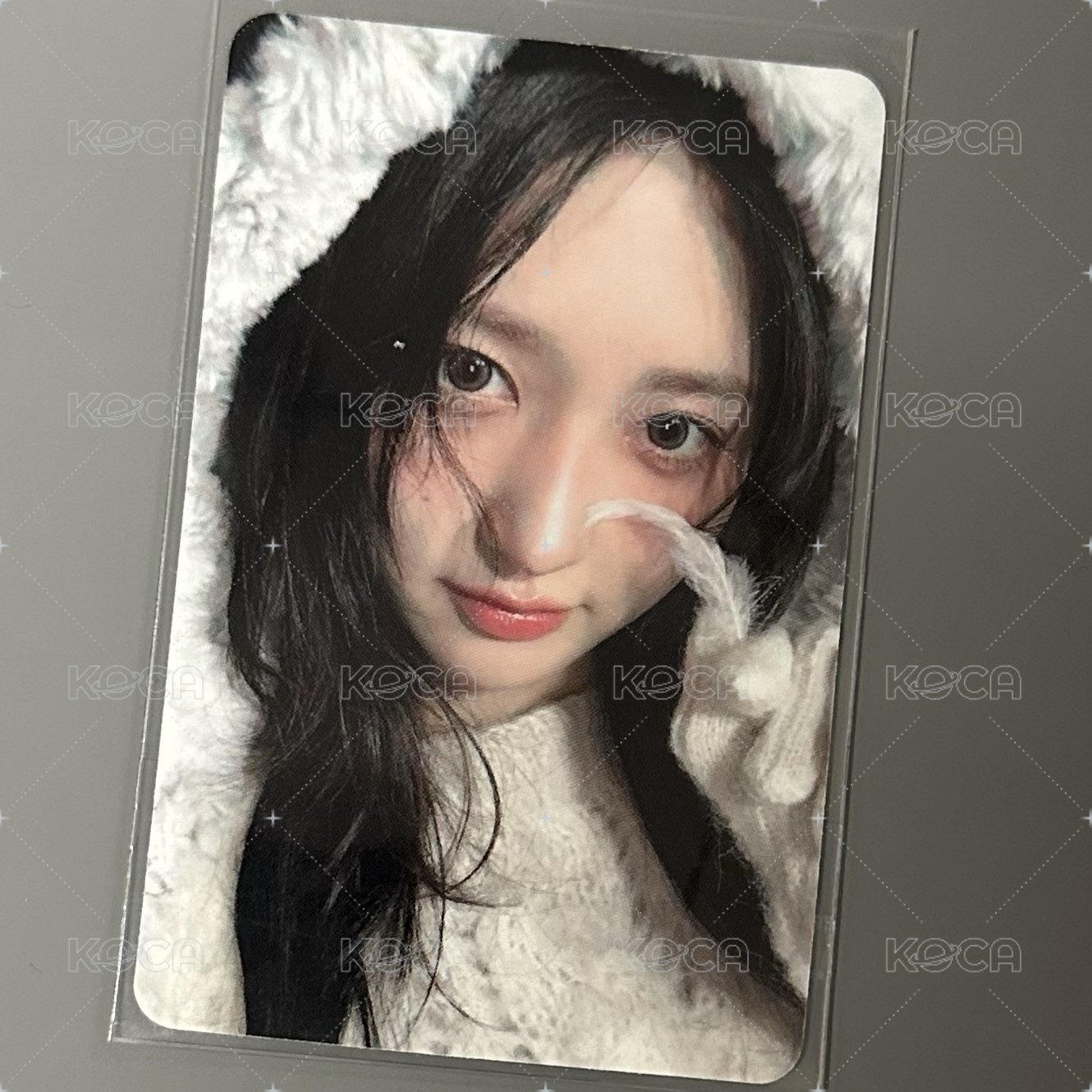 秋 am 特典卡