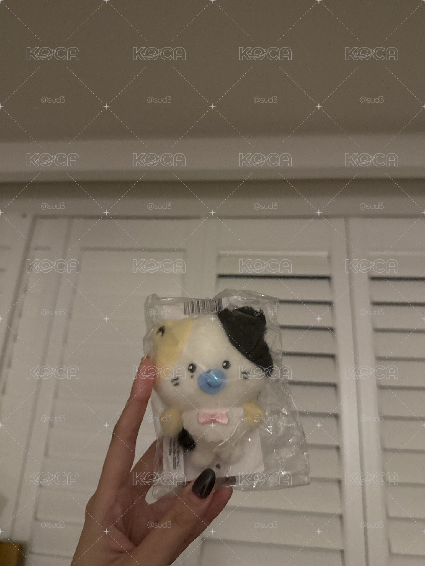 寶寶鋭