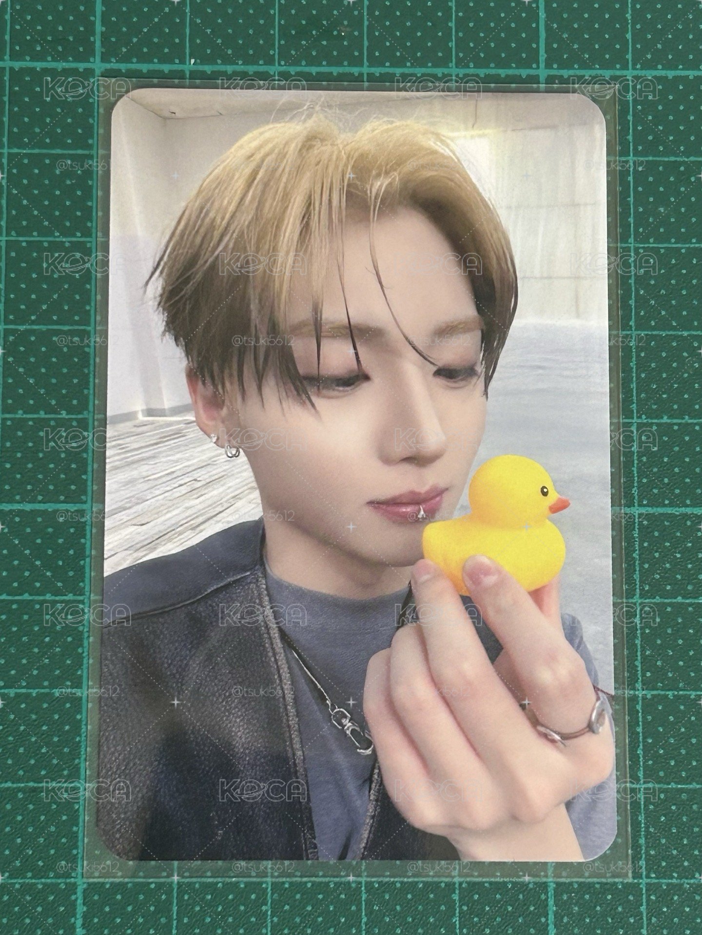 🐤沅