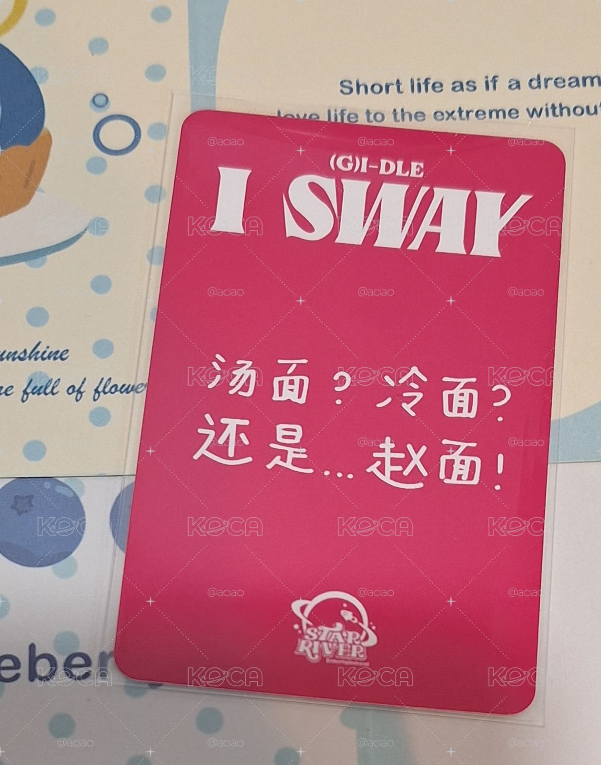 藍衣麵 中背