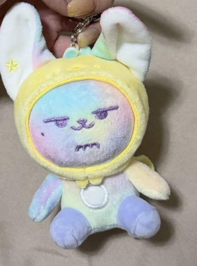 送養彩虹小春