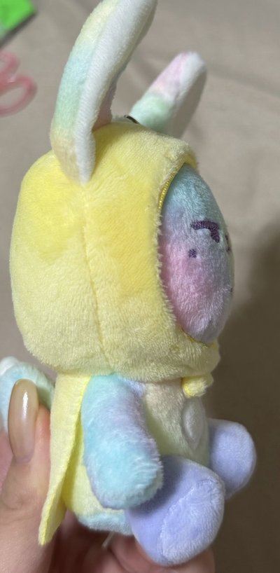 送養彩虹小春
