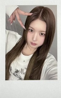 msnz wf 線下3.0 簽售卡 260118