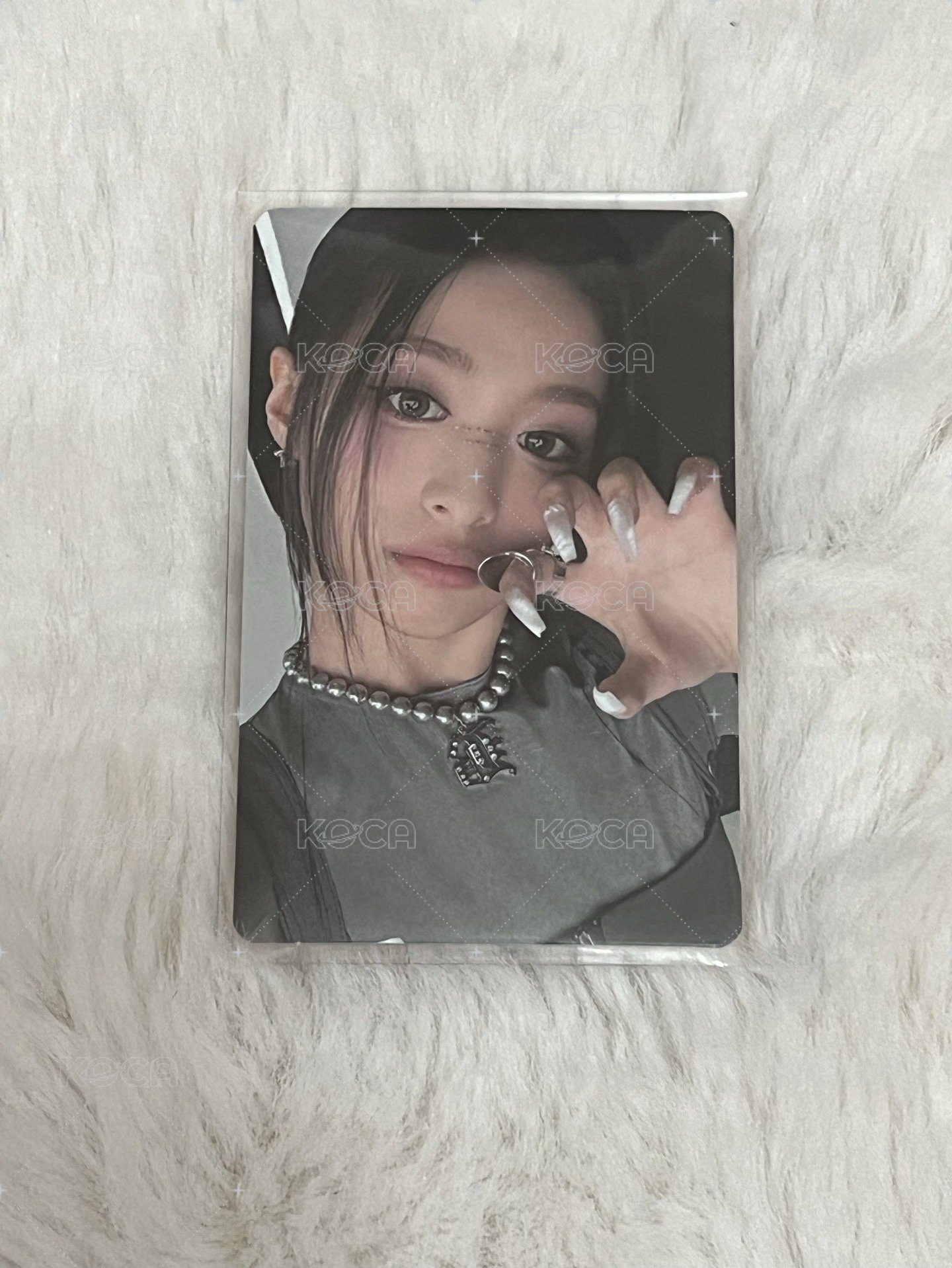 迷一貓爪賢