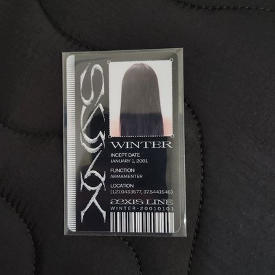 aespa WINTER 三巡 明信片組含小卡