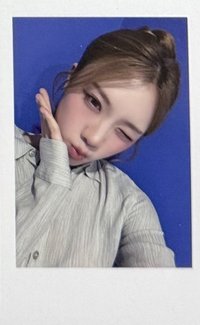 msnz wf 線下2.0 簽售卡 260116