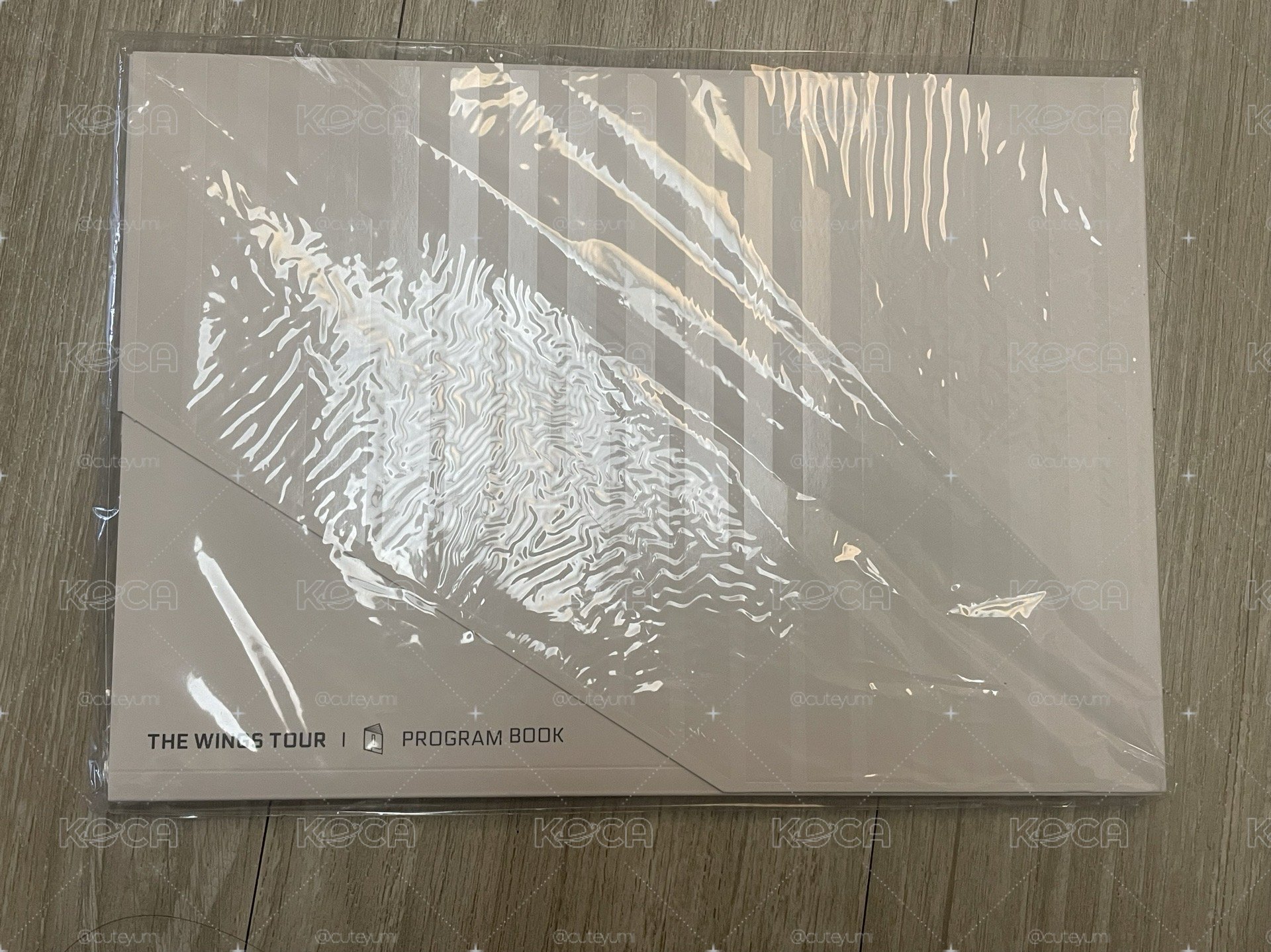 THE WINGS TOUR PROGRAM BOOK