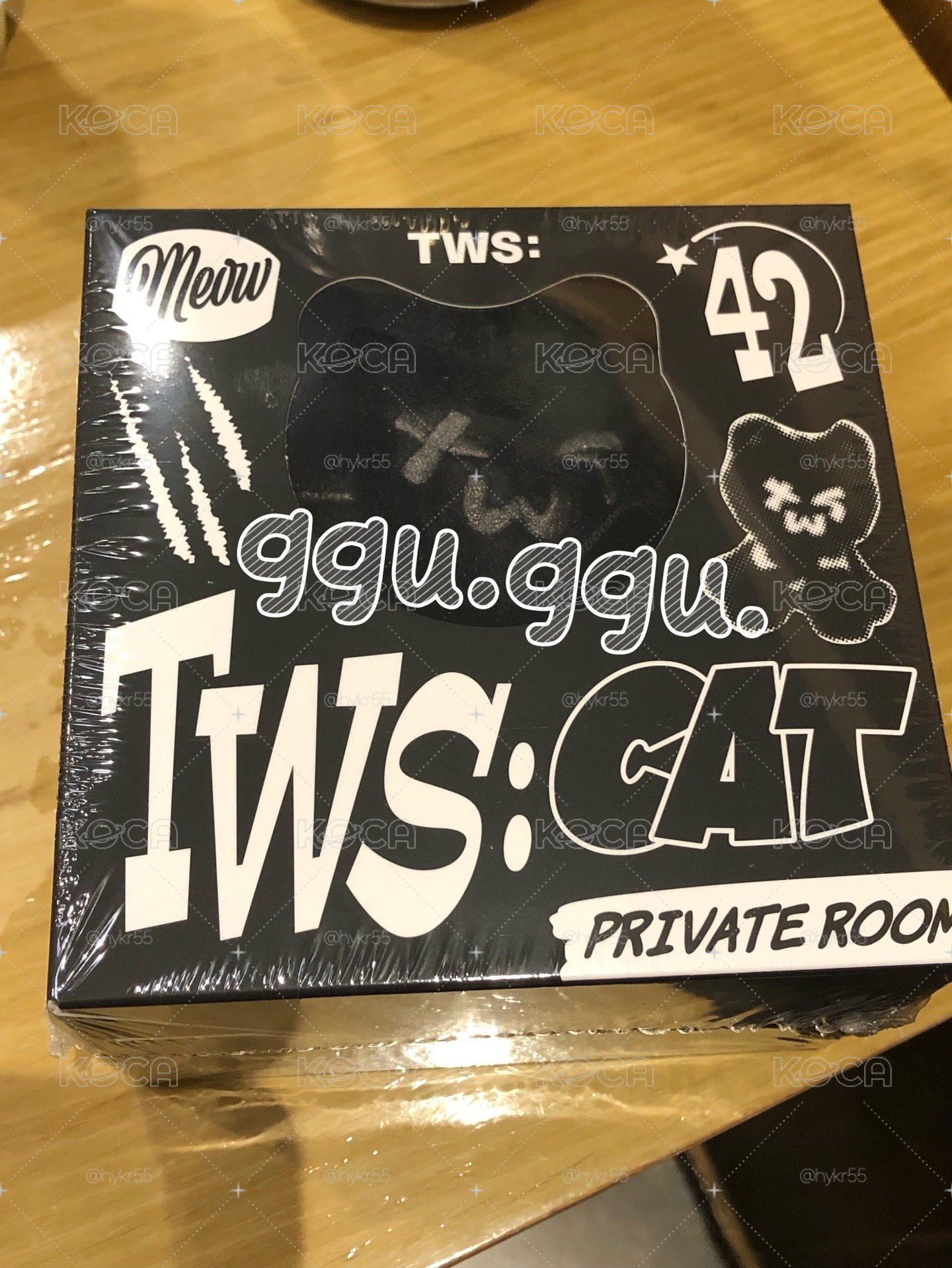 TWS 娃專 在韓現貨