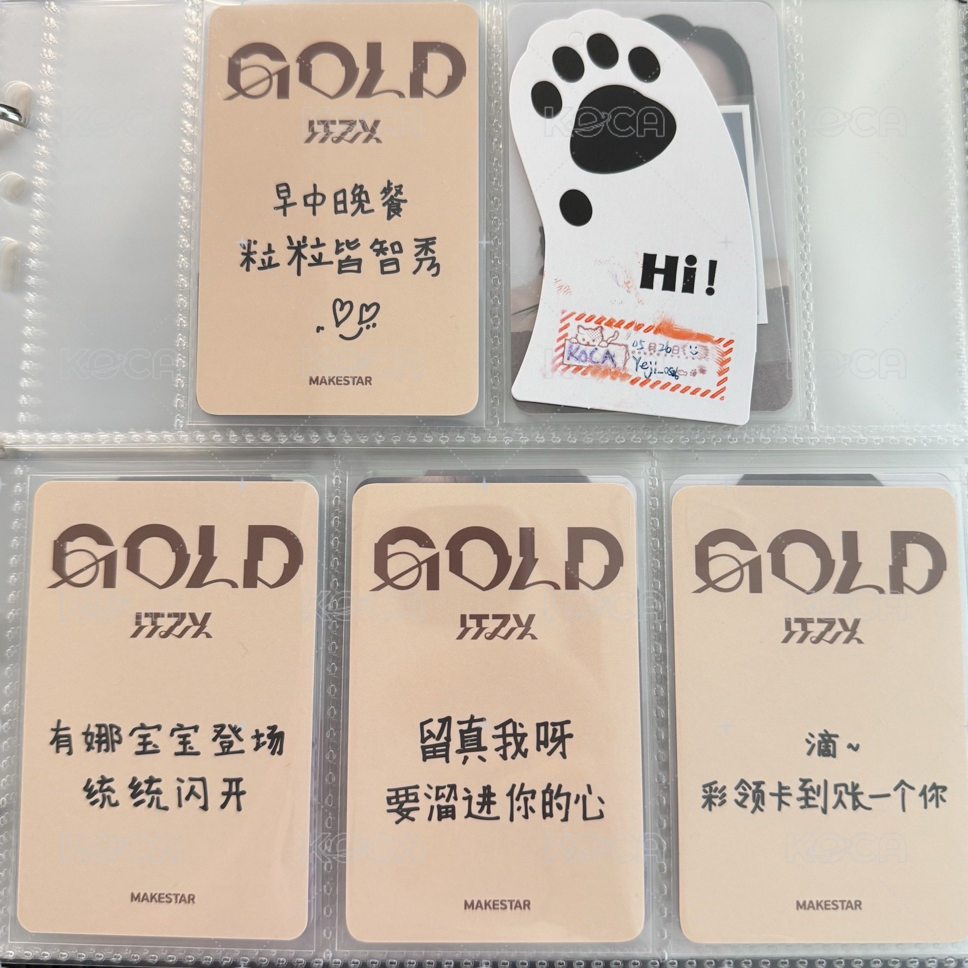 卡皮巴拉🀄️背一套（🈚️志）