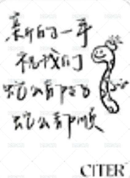 CITER 雜誌卡  背面