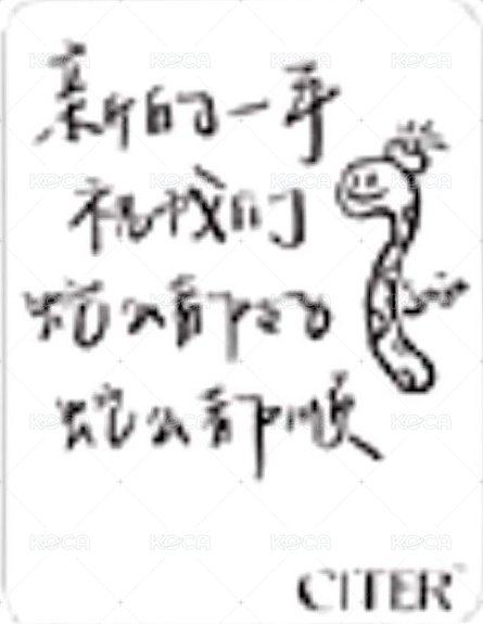 CITER 雜誌卡  背面