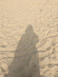 ShadowLynx