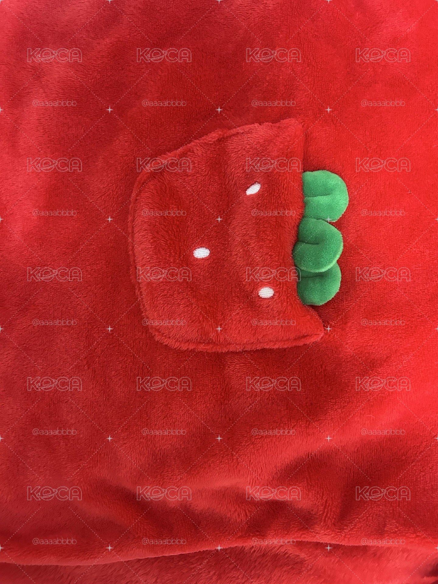 孫彩瑛毯子（送海報酪梨🥑）