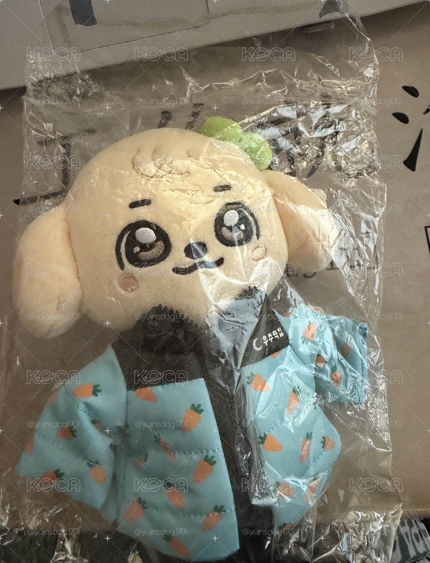 出近全新20cm康阿吉