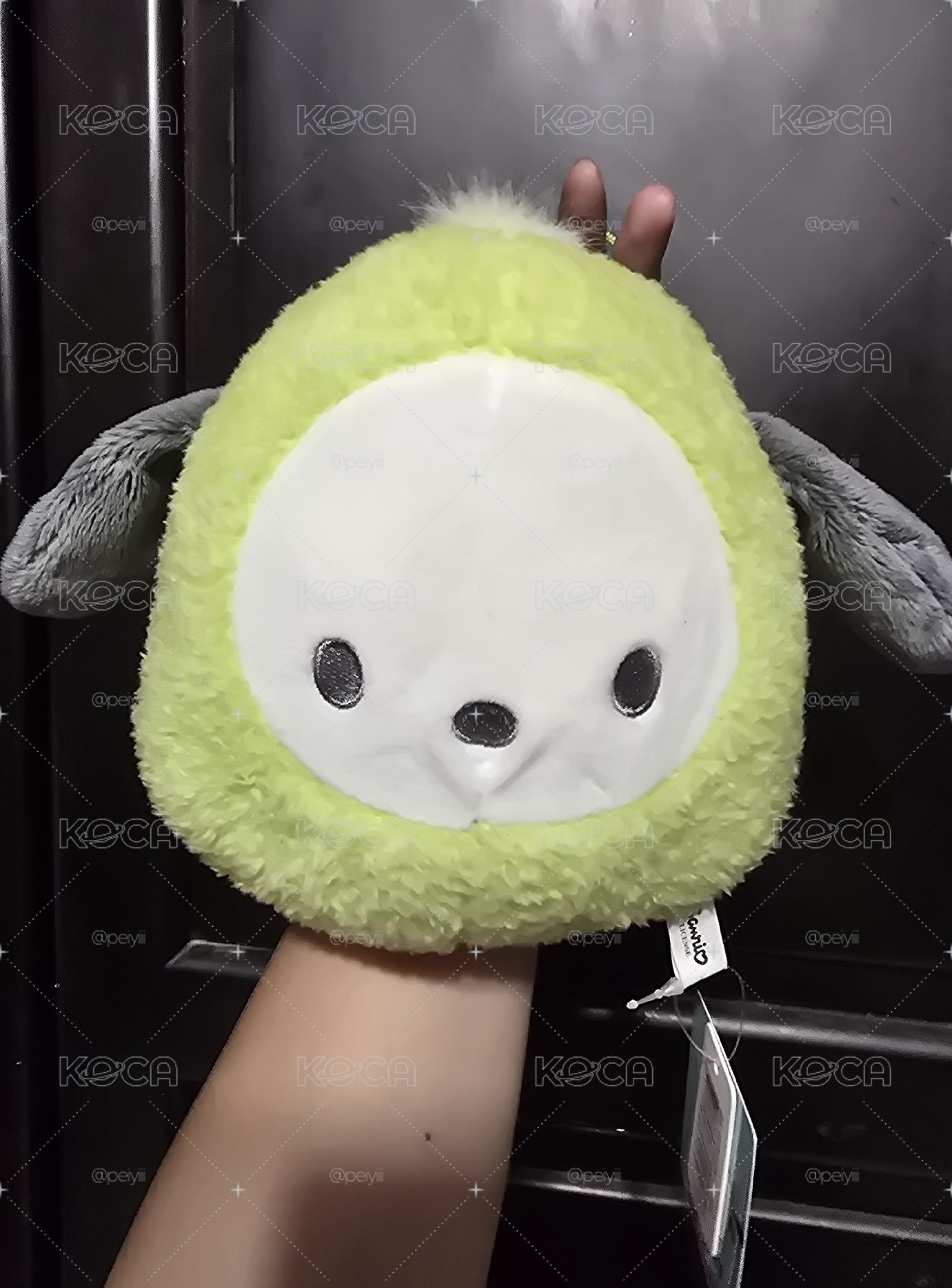 中秋就是要柚惑你