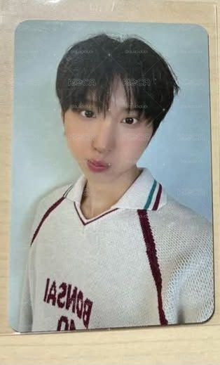 主汪fans預售