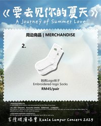 要去見你的夏天 2025 吉隆坡演唱會 綠 襪子 