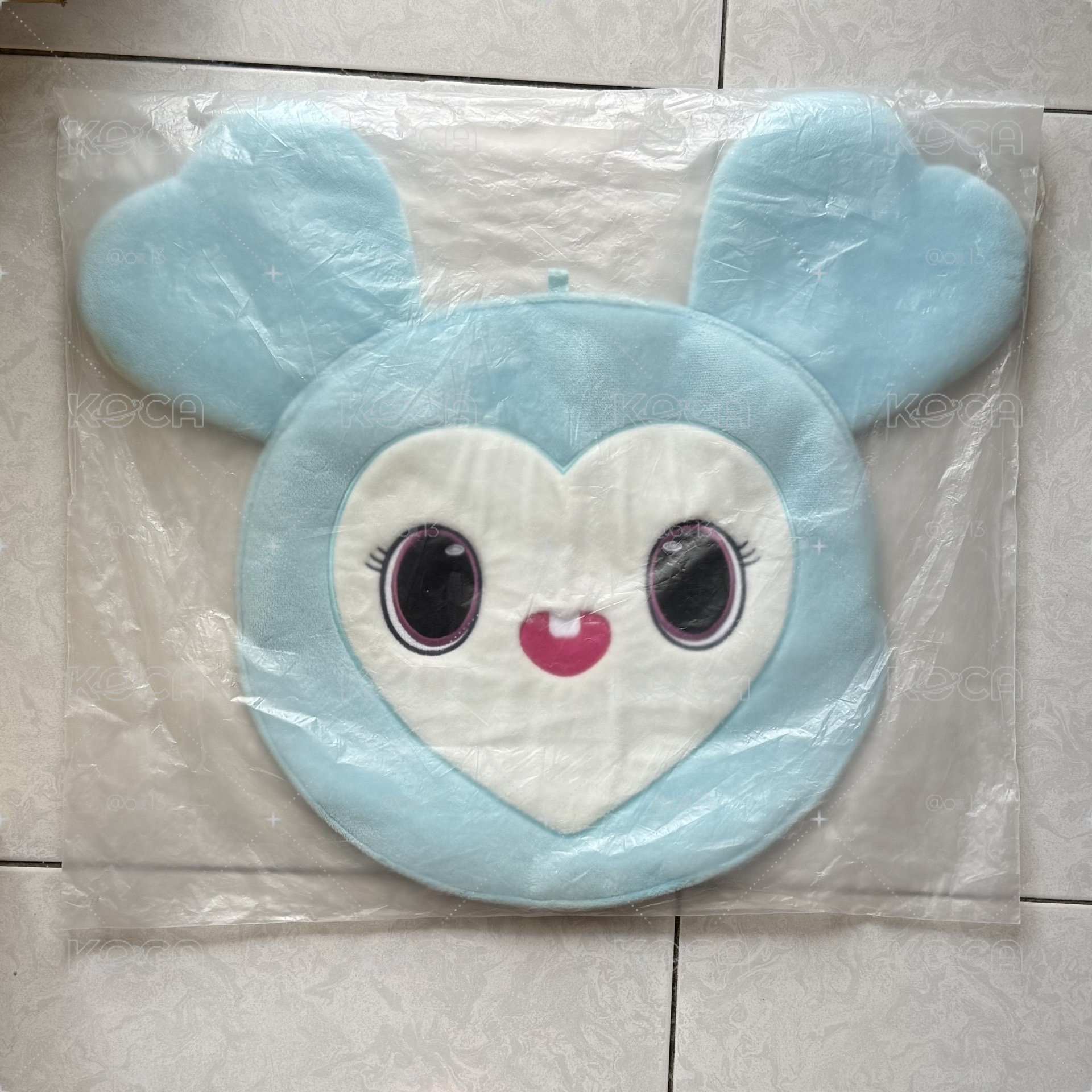 娜璉五巡絕版扇套