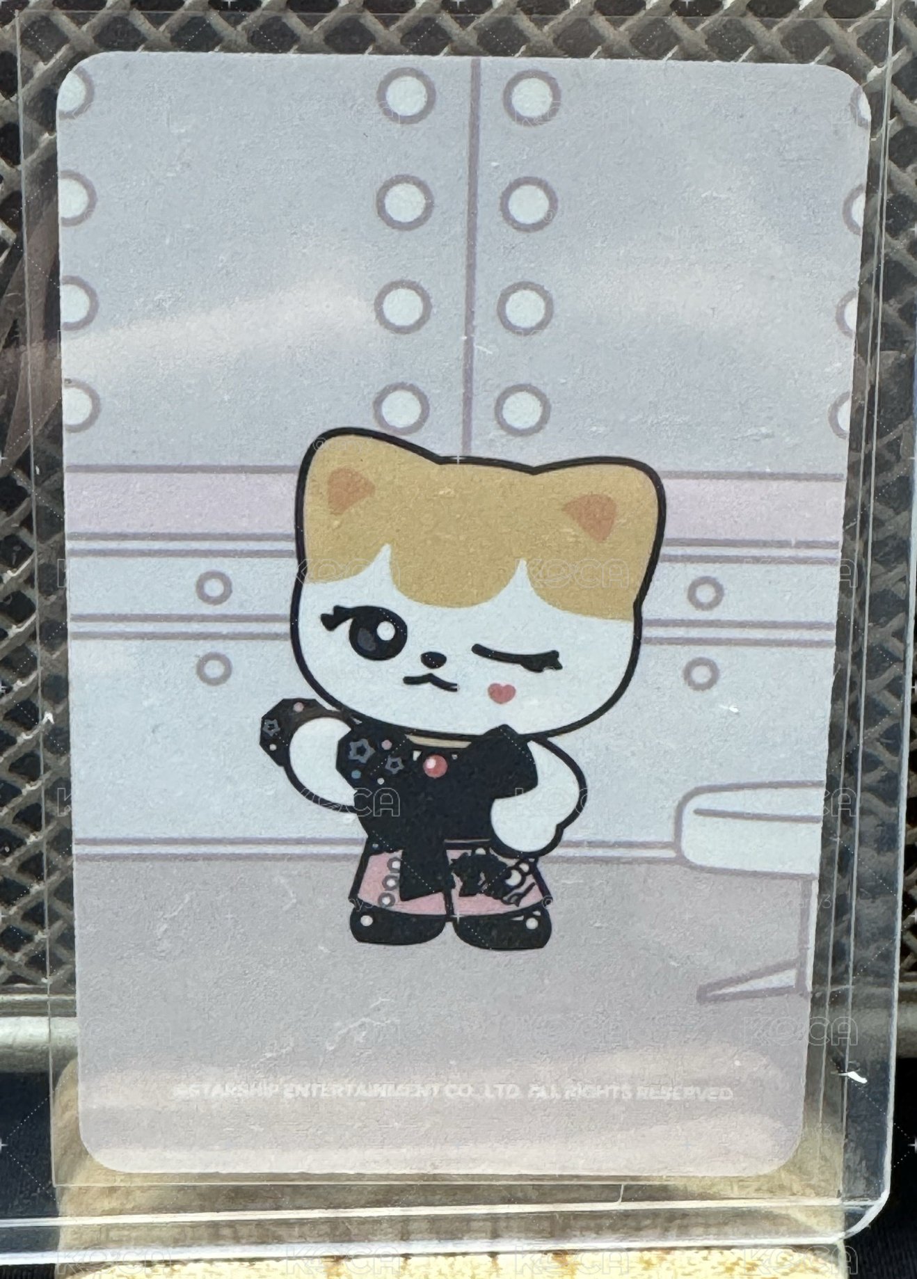 髮圈栗