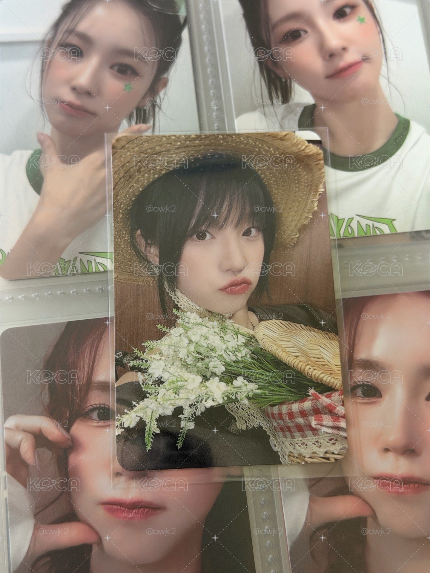 ms野餐琦🧺
