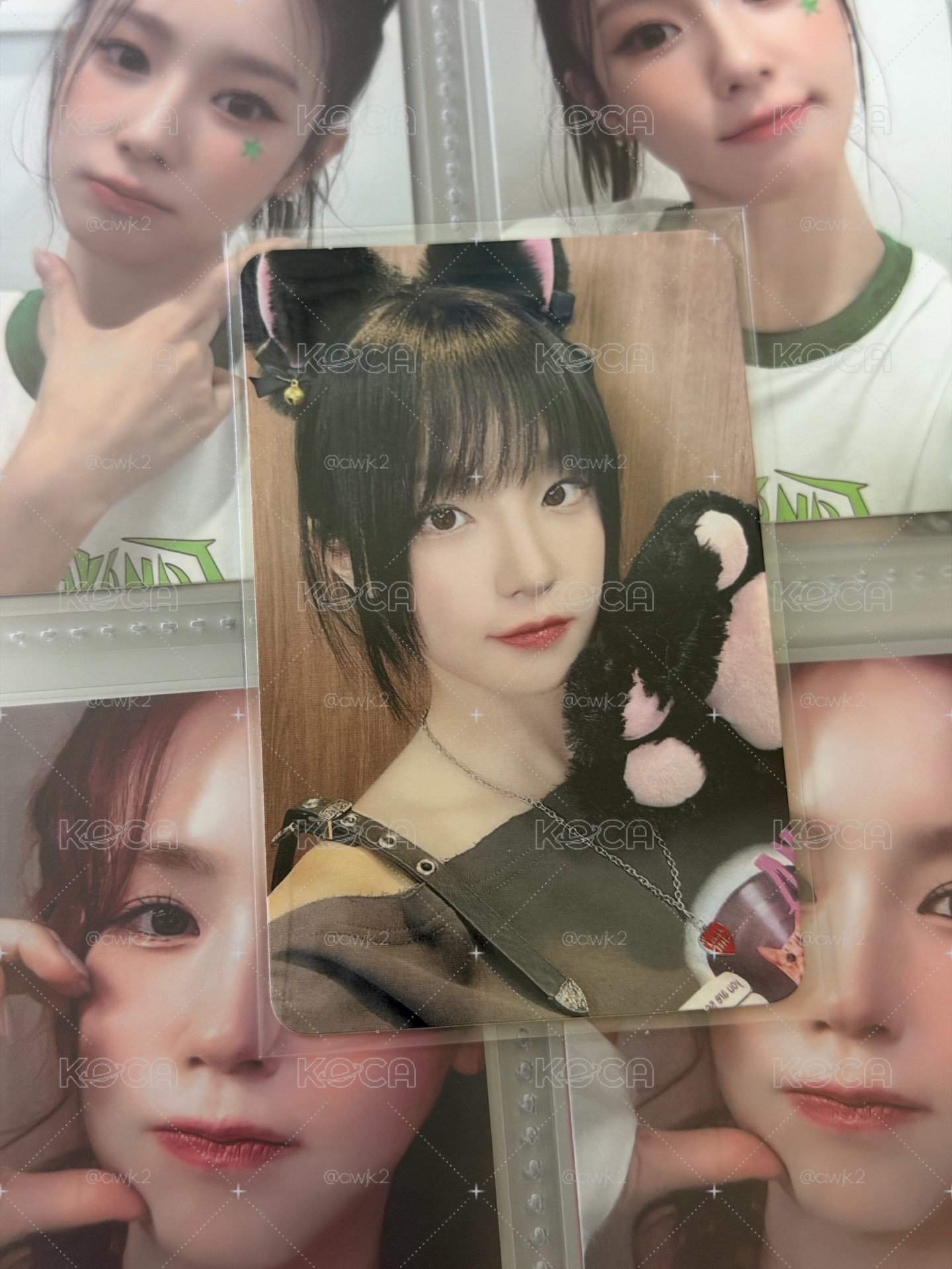 ms 貓爪琦