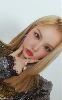 迷九 專輯卡
