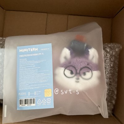 現貨💎miniteen大頭吊飾娃｜全圓佑｜WVS購入