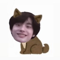 小狗乖乖