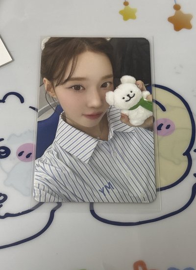 蝦皮冬 winter 線條小狗冬