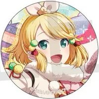 細閃 vol.28 A 徽章 新年花後