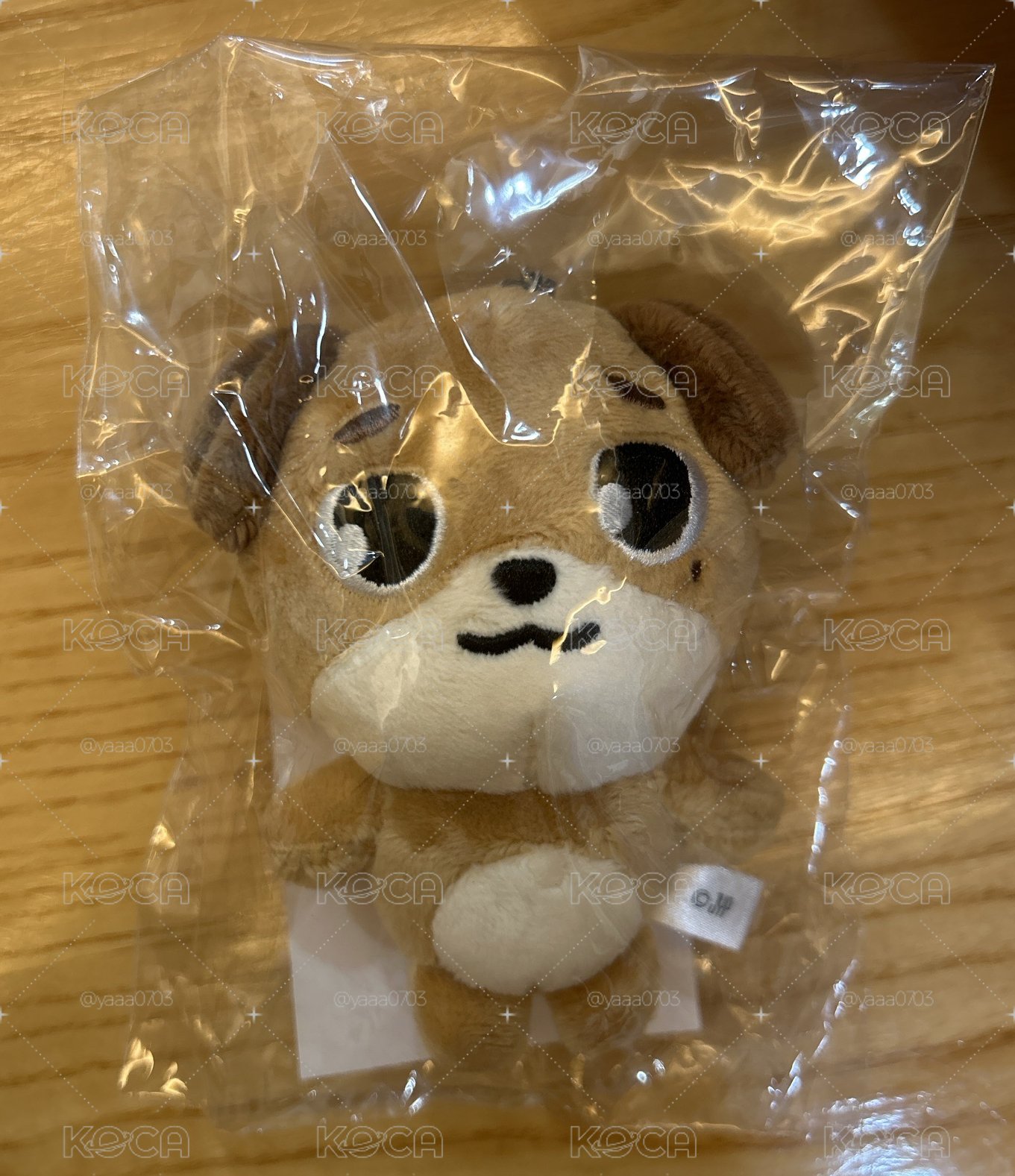 DAY6 三巡 日週 11CM鏈條娃🐶