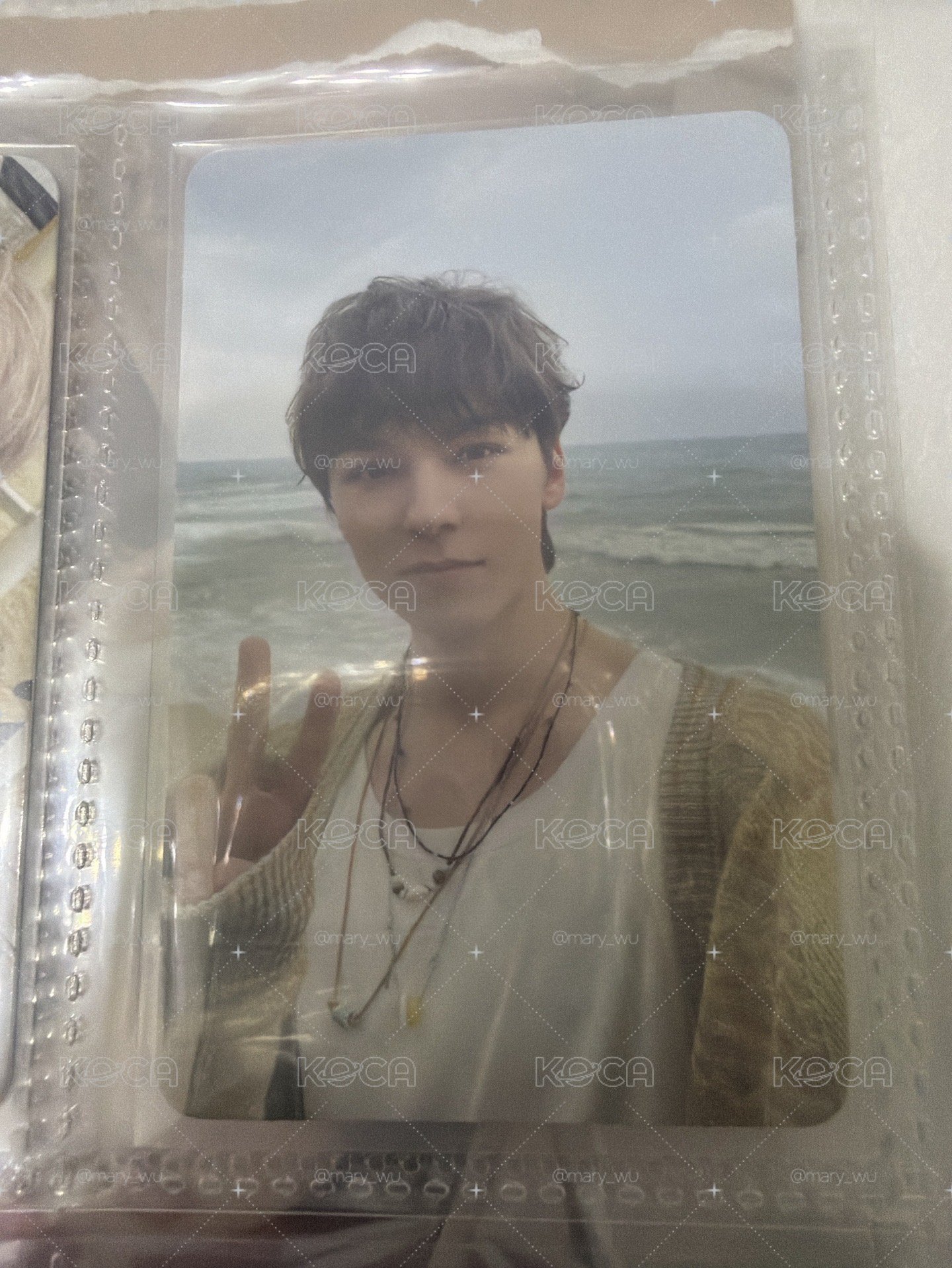 seventeen Vernon