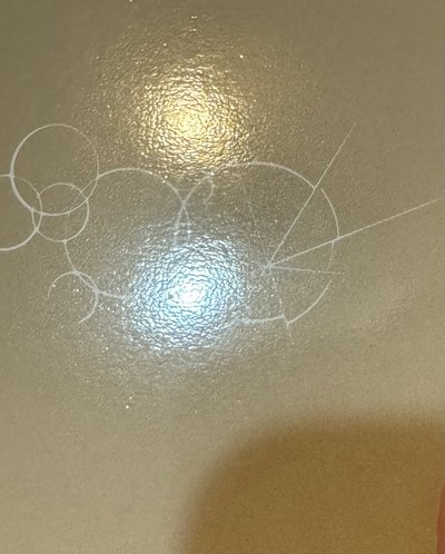 br小海豹 尚