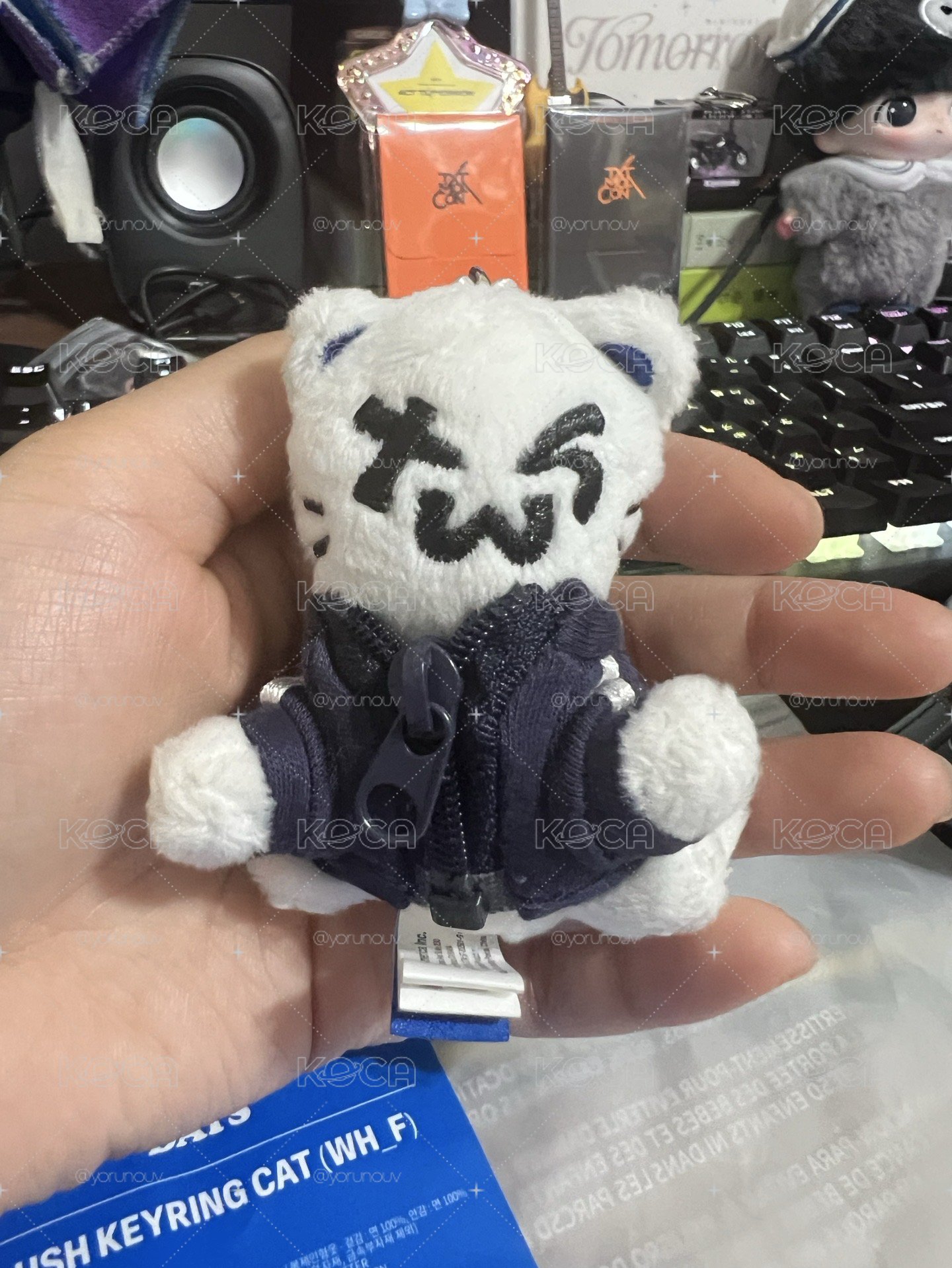 一週年吐司貓