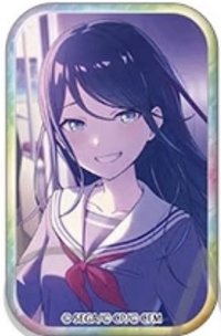 方徽 vol.48 C 徽章 wl花前