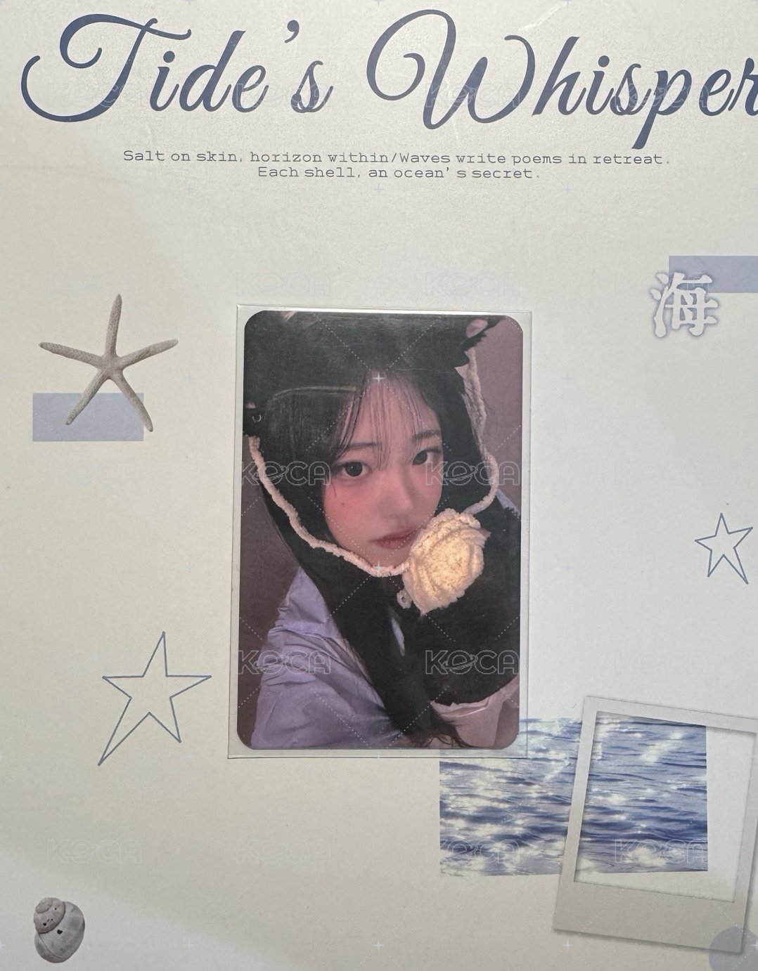 貓抓娜