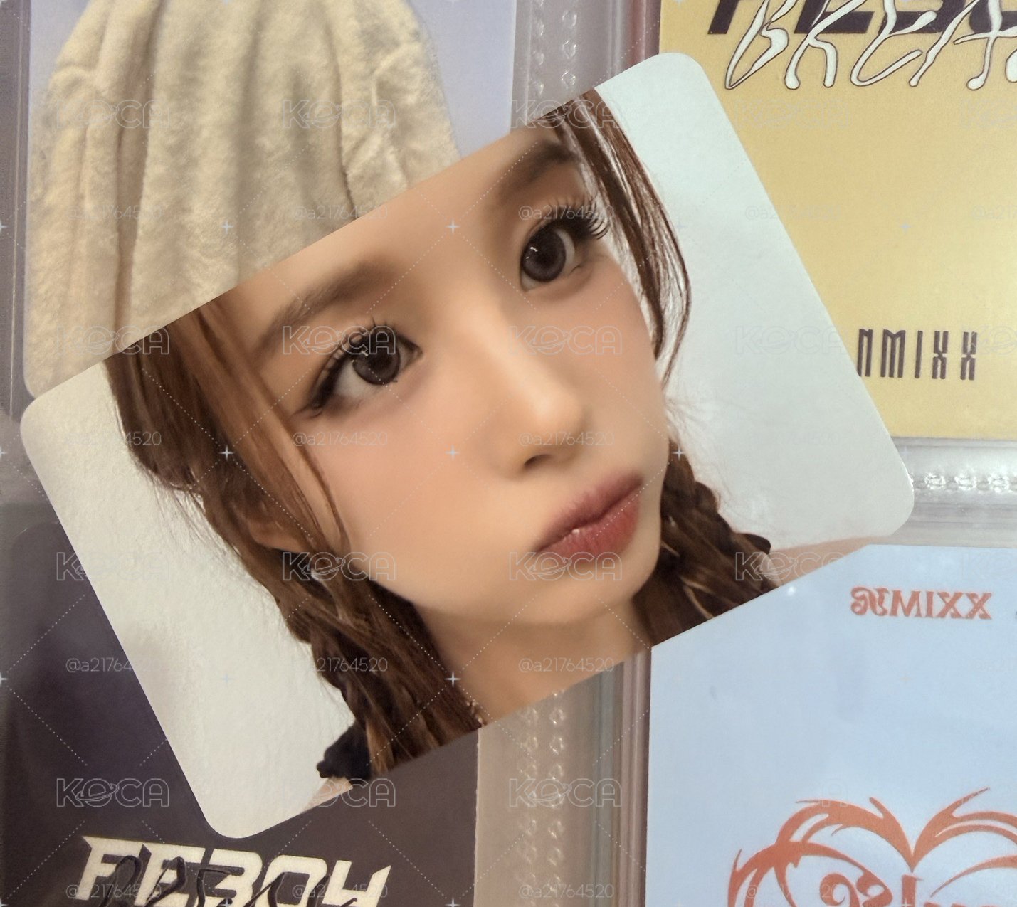 上海薛