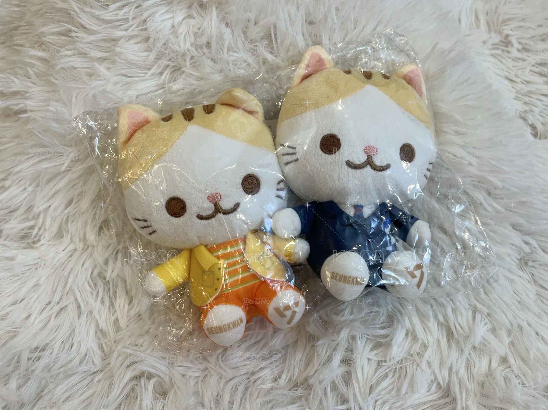 sega聯名 勝寬貓娃 貓吊飾娃娃