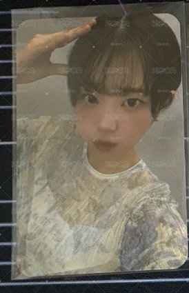 狗耳丹