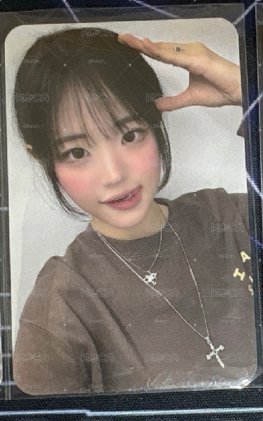 狗耳娜