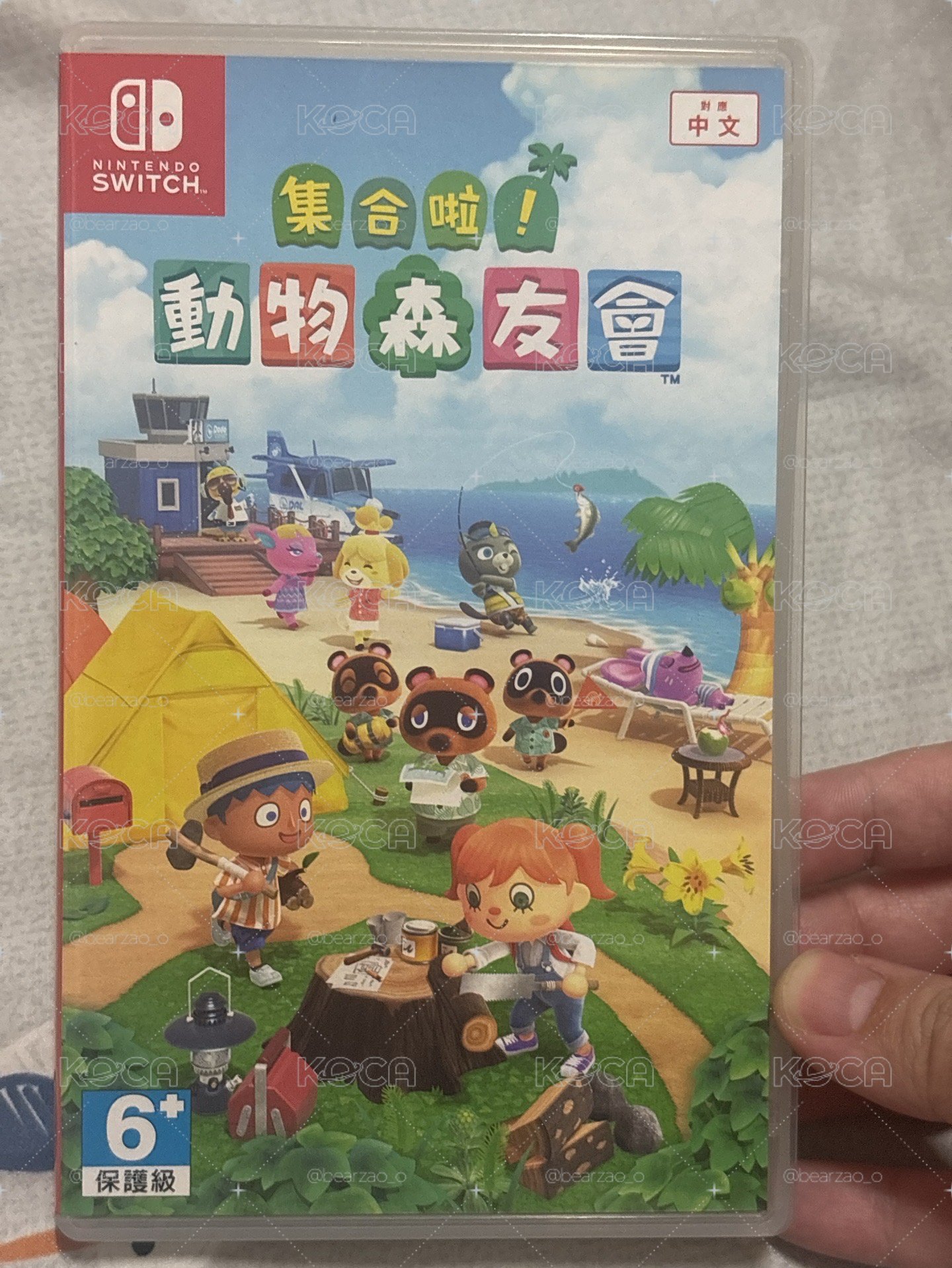 二手遊戲片 動物森友會NS1