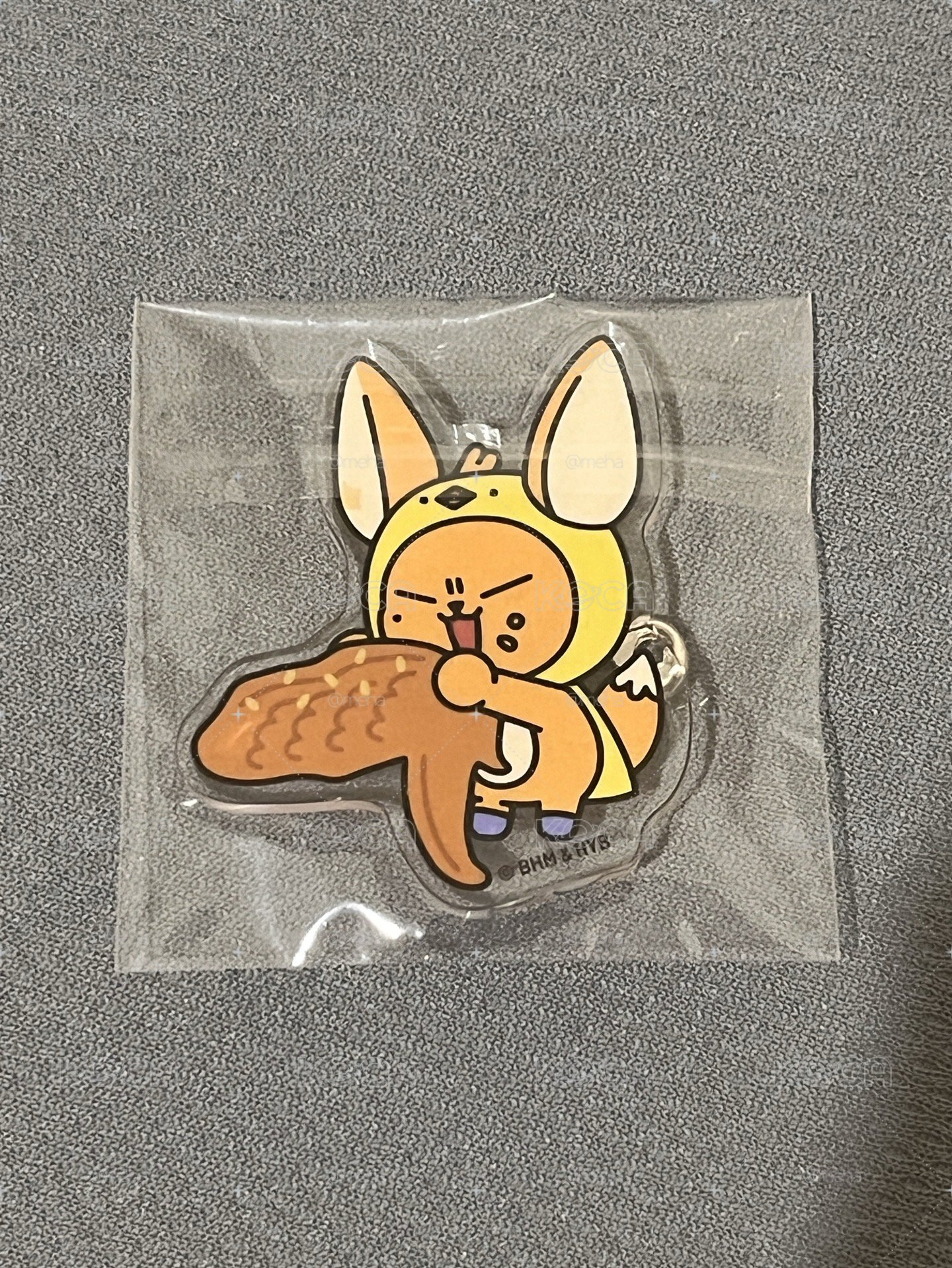 黃春愛知徽章