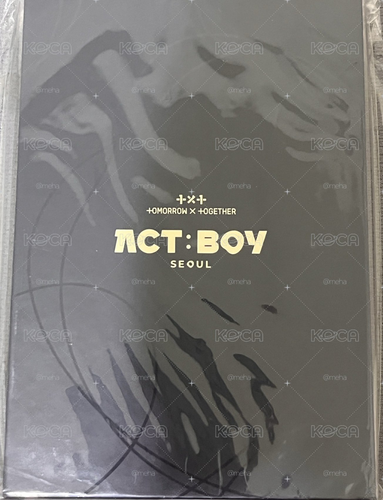 act boy相片書