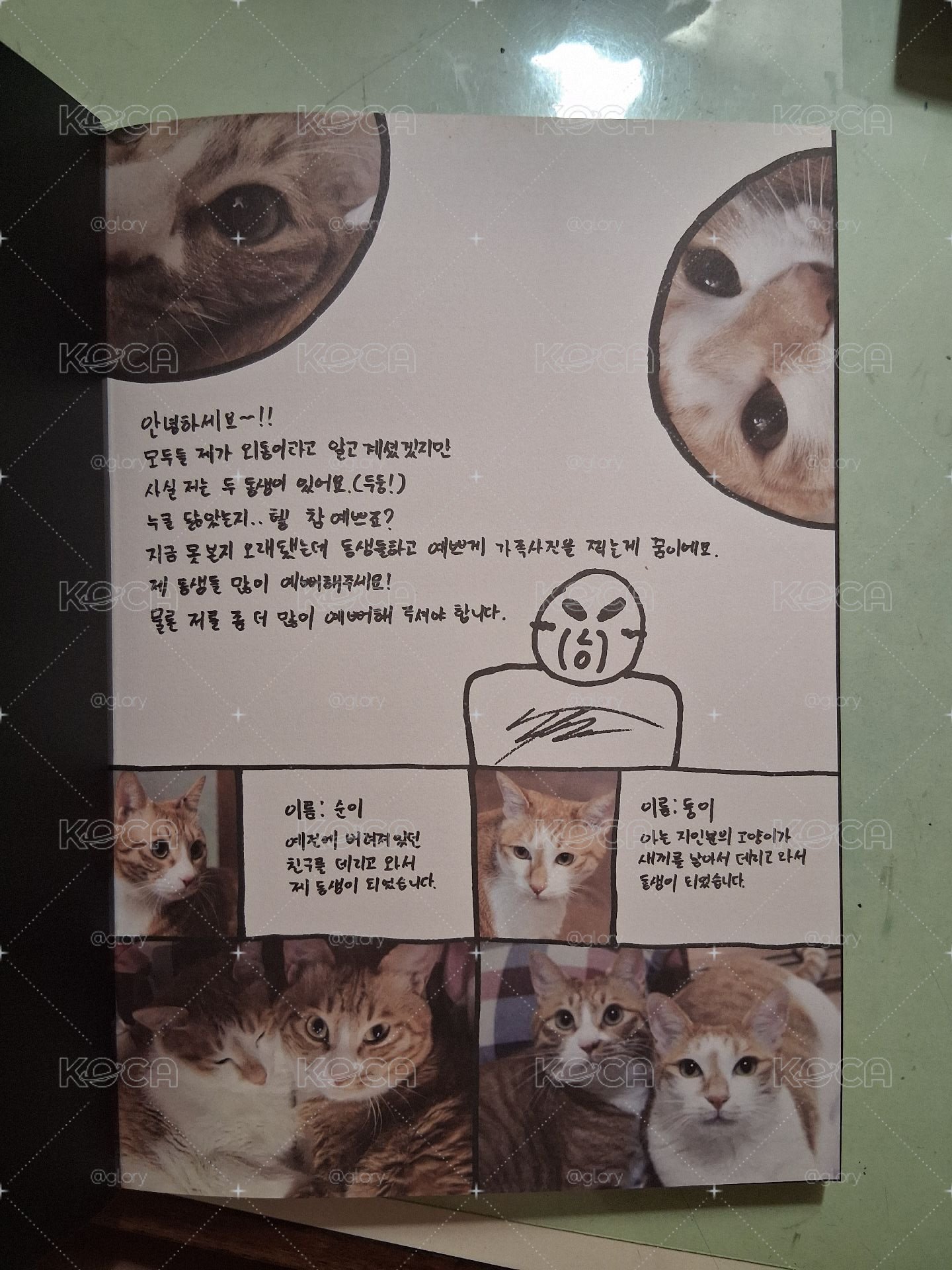 早期專