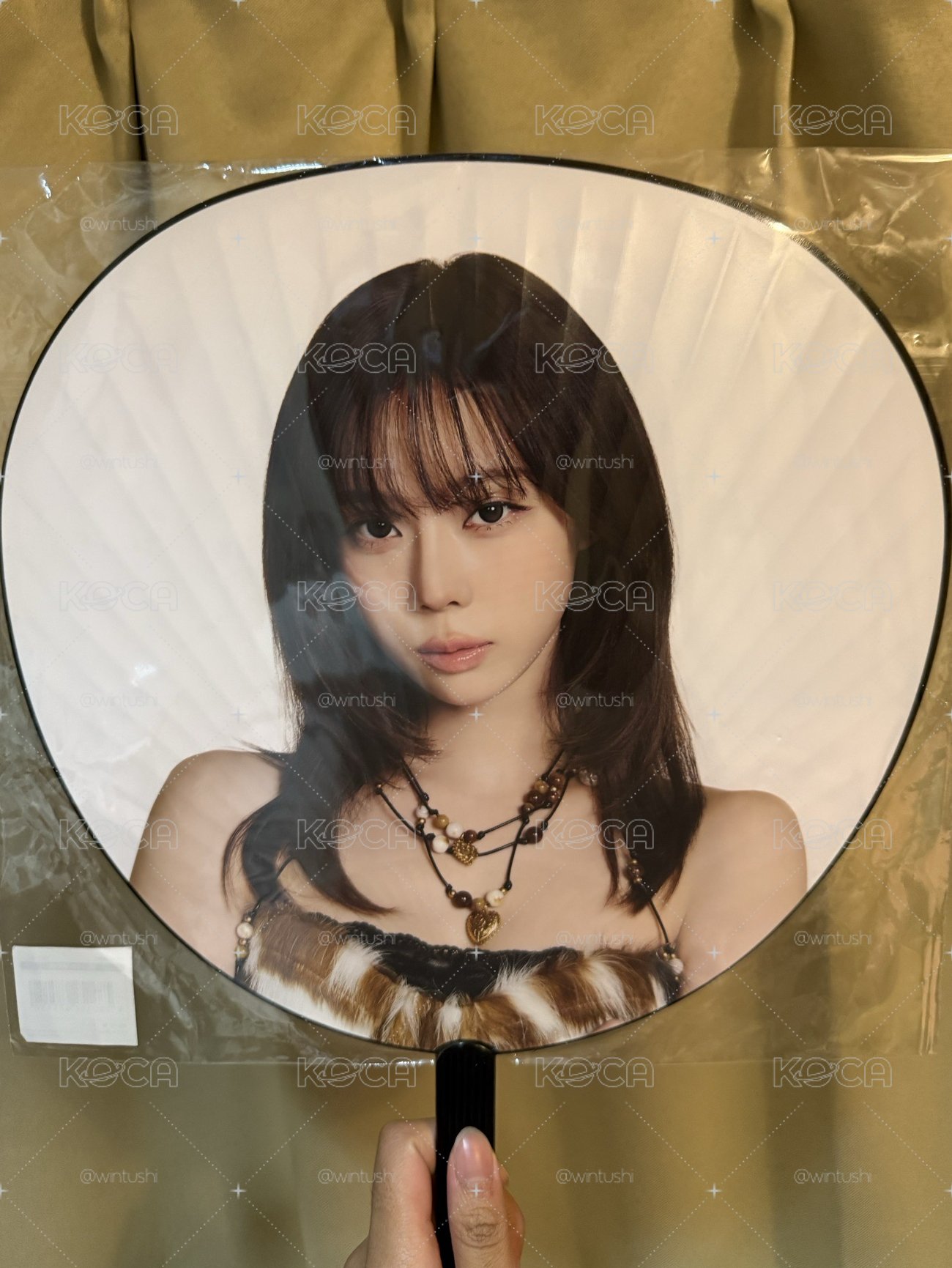 冬大扇