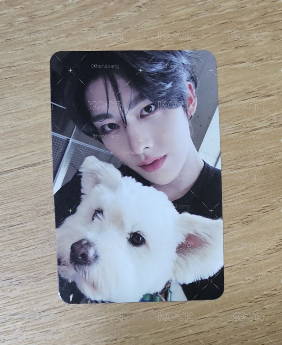Ricky 狗狗專卡