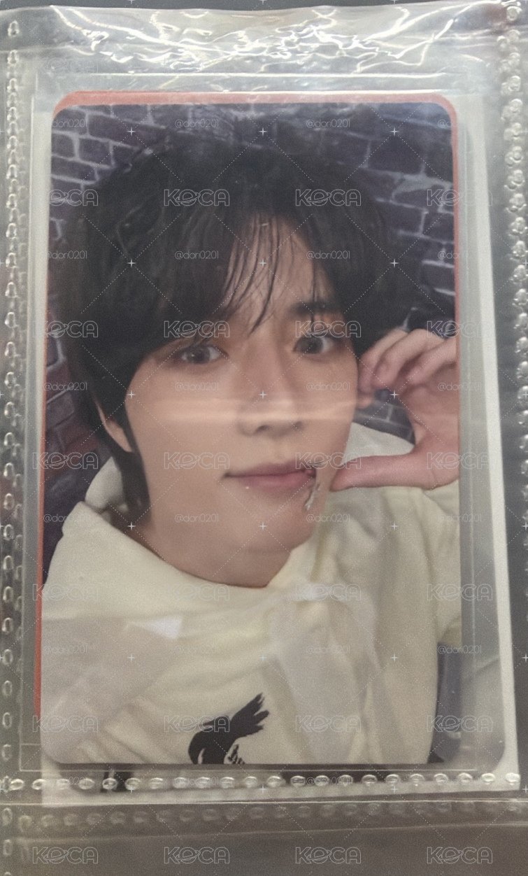 日專圭