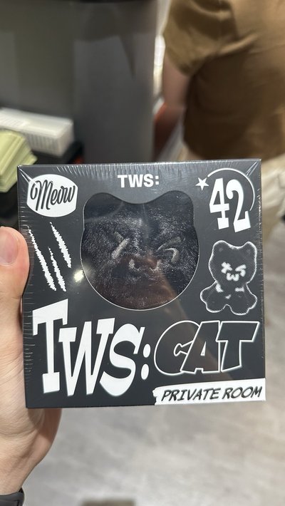 TWS娃專 現貨