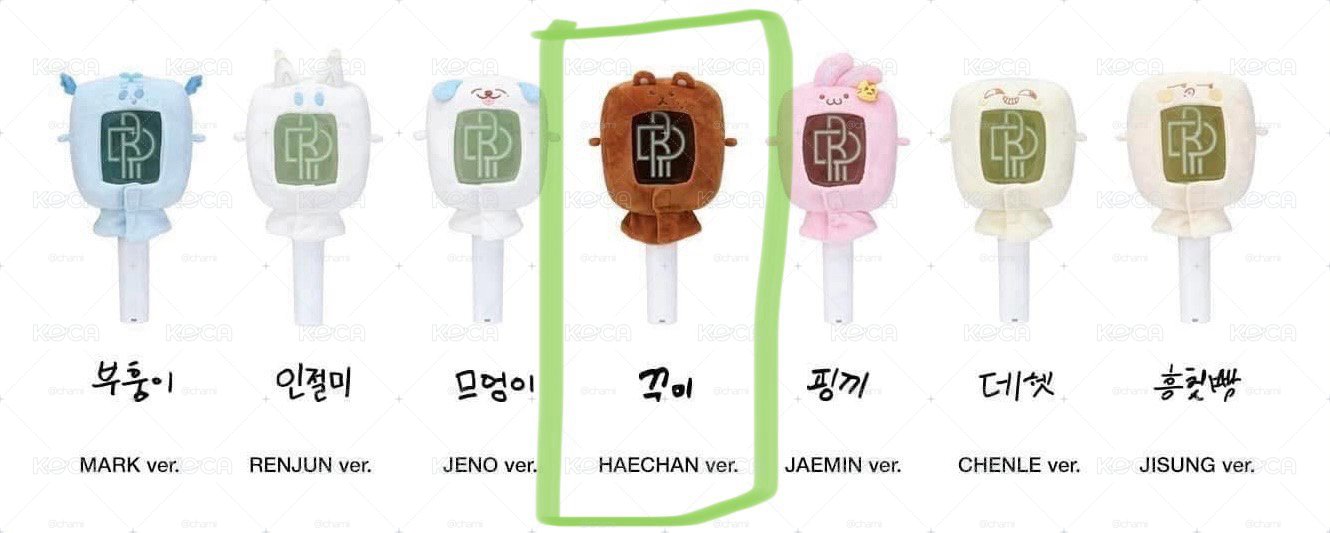 NCT DREAM 楷燦手燈套